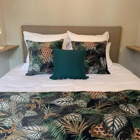 Cathedrale Apartment Albi