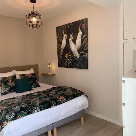 Apartment Cathedrale Albi