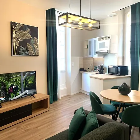 Cathedrale Apartment Albi