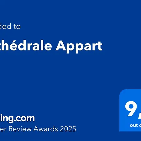 Cathedrale Apartment Albi