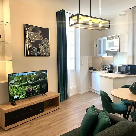 Cathedrale Apartment Albi