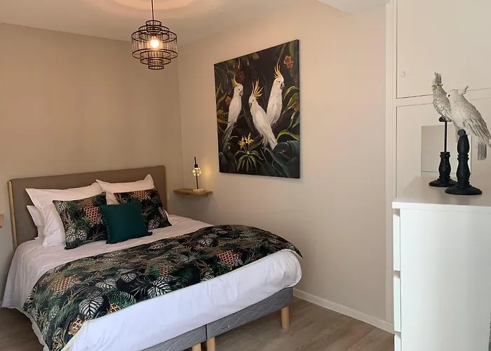 Апартаменты Cathedrale Альби